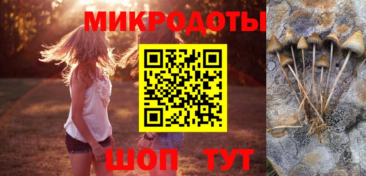 Магнитогорск  Галлюциногенные грибы мицелий  Вход с VPN 